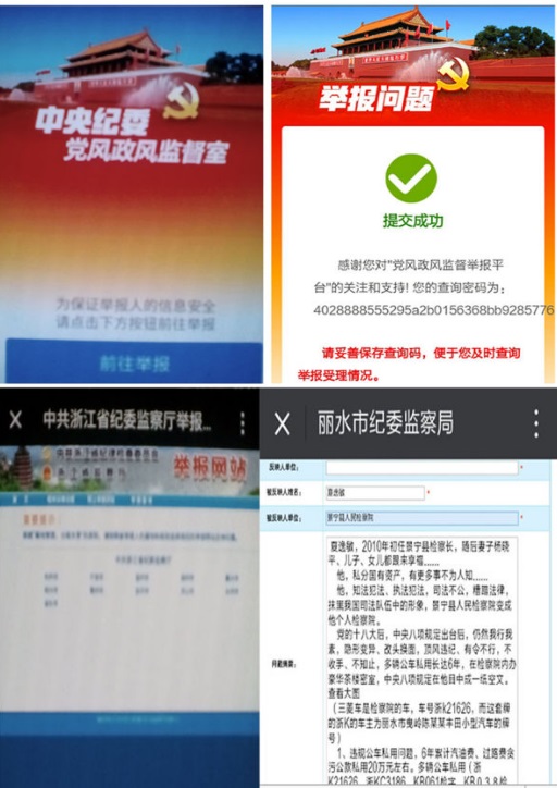 中央纪委党风政风监督举报平台和丽水市纪委再次进行了举报