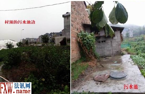 这个村支书真的牛!浙江松阳县西屏街道孙源村民具名控告徐火星违法乱纪