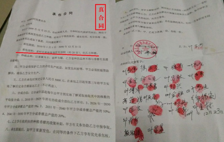这个村支书真的牛!浙江松阳县西屏街道孙源村民具名控告徐火星违法乱纪